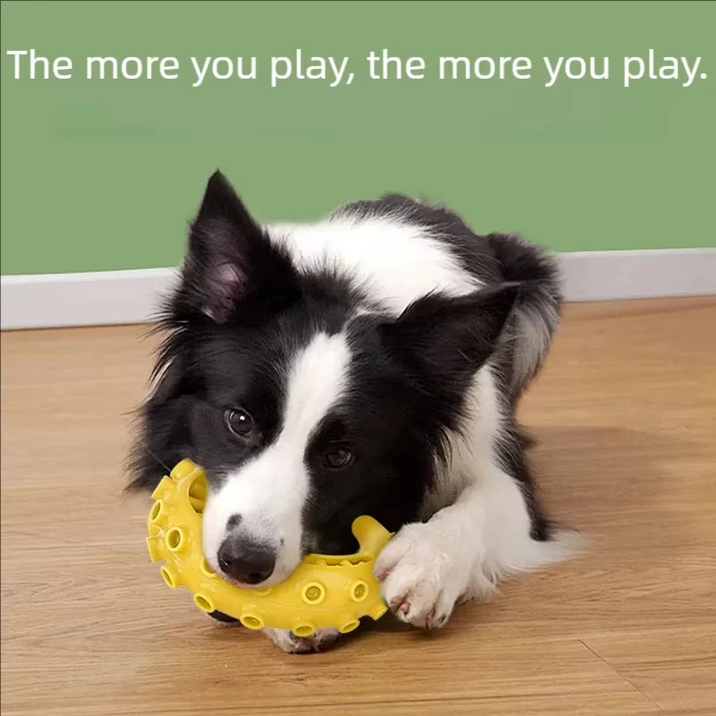 Bite Resistant Durable Dog Chew Teething Toys for Small Medium Dogs Pet Teeth Cleaning Fun Supplies