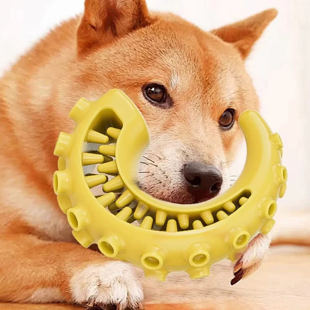 Bite Resistant Durable Dog Chew Teething Toys for Small Medium Dogs Pet Teeth Cleaning Fun Supplies