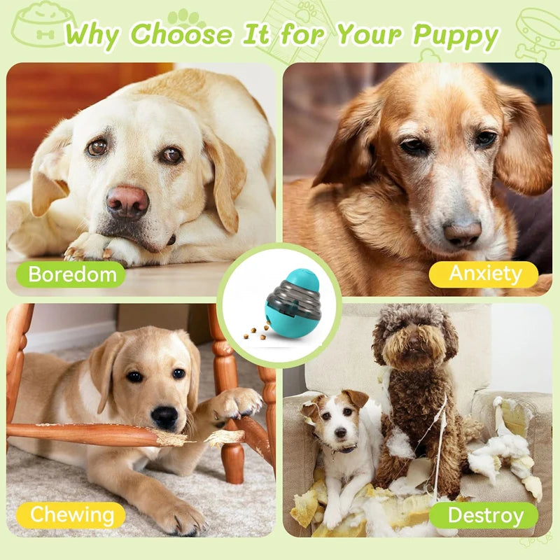 Dog Interactive Food Dispenser Toys Small Dogs Cats Pet IQ Training Improve Kitten Puppy Slow Shaking Leak Feeder Food Container